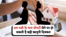 कोर्ट के फैसले से मचा हड़कंप: पति नहीं कर सकेगा पत्नी की प्रॉपर्टी पर दावा!